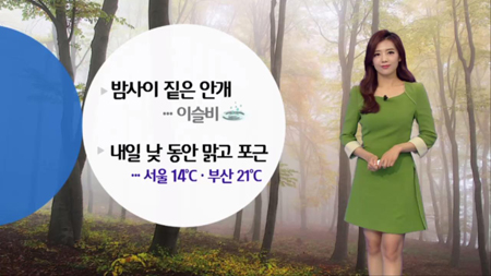 밤사이 짙은 안개 ... 이슬비