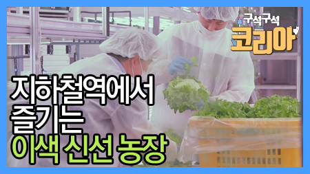 서울 지하철역 안에 농장이 있다?