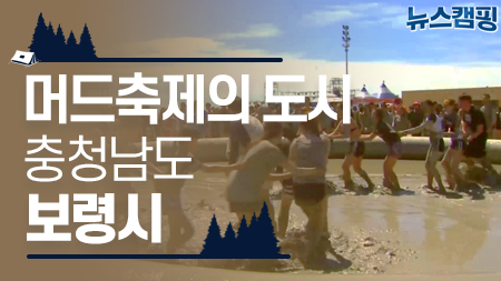 머드축제의 도시, 충청남도 보령시 ㅣ 뉴스캠핑 15회