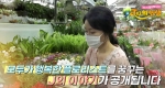 [예고] 제약회사 퇴사 후 플로리스트로 꽃길을 걷고 있는 전혜란