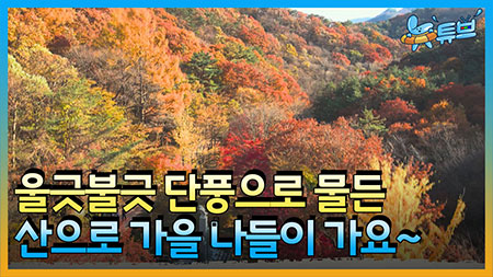 아름다운 한국의 가을산, '단풍이 드는 이유는?' [가을의 추억] ㅣ 뉴튜브 - 사진관 [34회] 