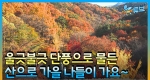 아름다운 한국의 가을산, '단풍이 드는 이유는?' [가을의 추억] ㅣ 뉴튜브 - 사진관 [34회] 