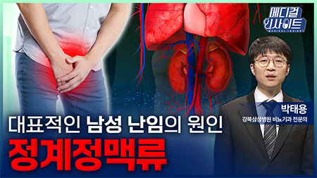 대표적인 남성 난임의 원인 정계정맥류ㅣ메디컬 인사이트[115회]