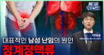 대표적인 남성 난임의 원인 정계정맥류ㅣ메디컬 인사이트[115회]