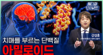 치매를 부르는 단백질 아밀로이드ㅣ메디컬 인사이트[116회]
