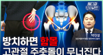 방치하면 함몰, 고관절 주춧돌이 무너진다ㅣ메디컬 인사이트[133회]