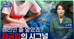 폐경 후 출혈? 당신만 모르는 자궁암 시그널, 알고 예방할 때!ㅣ메디컬 인사이트[146회]