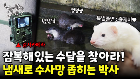 영상의 절반이 똥이지만 재밌어! 박사님들의 야생동물 추적!ㅣ눈에 띄는 그녀들7 [37회]