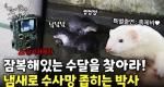 영상의 절반이 똥이지만 재밌어! 박사님들의 야생동물 추적!ㅣ눈에 띄는 그녀들7 [37회]