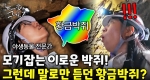 코로나로 나빠진 박쥐 이미지, 알고 보니 모기잡이 고수?ㅣ눈에 띄는 그녀들7 [40회] 