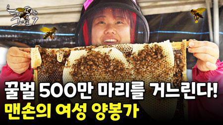 꿀벌을 맨손으로?! 쏘여도 묵묵하게 할 일 하는 그녀!ㅣ눈에 띄는 그녀들7 [56회]