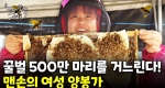 꿀벌을 맨손으로?! 쏘여도 묵묵하게 할 일 하는 그녀!ㅣ눈에 띄는 그녀들7 [56회]