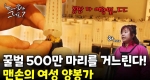 꿀이 아닌 여왕벌로 돈을 번다?! ㅣ눈에 띄는 그녀들7 [57회]