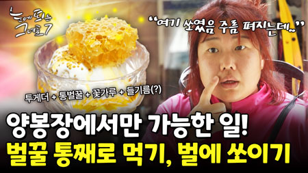 이것이 양봉가의 특혜?! 꿀을 통째로 먹어버리는 여성 양봉가!ㅣ눈에 띄는 그녀들7 [59회]