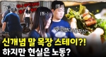 그녀의 친구들, 목장에서 말X 치우다?!｜눈에 띄는 그녀들 8 ep.04
