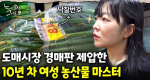 새벽 출근도 설렌다는 10년 차 대표! 대구에서 사고 구미에서 경매받아 거래처 약속 100% 지켜내는 현장의 법칙｜눈에 띄는 그녀들 9 ep.31