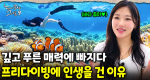 여러분! 필리핀으로 오세요 자연을 제대로 느낄 수 있는 세부만의 프리다이빙!｜눈에 띄는 그녀들 9 ep.43