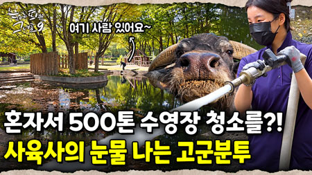 오늘의 임무! 물소들의 수영장 청소를 하라! 11년차 대동물 사육사의 하루 일과 함께하기｜눈에 띄는 그녀들 9 ep.57