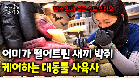 동물원에 자원봉사자들이 떴다! 더 나은 환경을 위해 고군분투하는 대동물 사육사 이혜리｜눈에 띄는 그녀들 9 ep.58