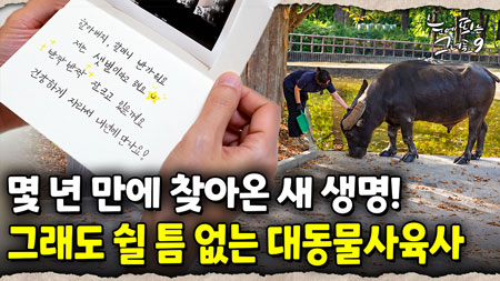 인정받던 대기업까지 그만두고 사육사가 된 그녀의 이유는?｜눈에 띄는 그녀들 9 ep.59