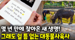 인정받던 대기업까지 그만두고 사육사가 된 그녀의 이유는?｜눈에 띄는 그녀들 9 ep.59